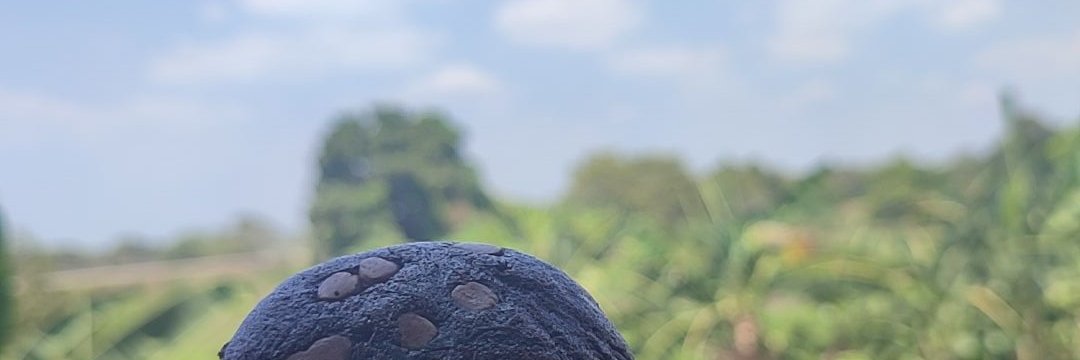 Fatimavillon_'s profile banner image