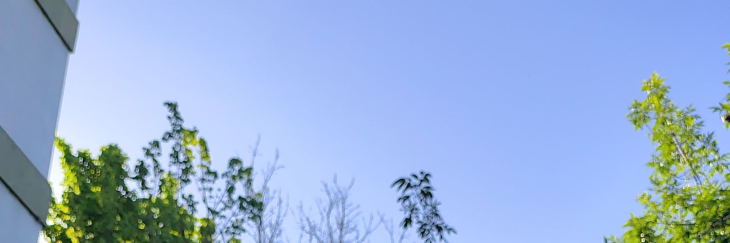 monksolami's profile banner image