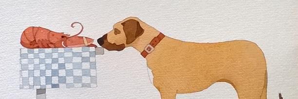 sashamayharding's profile banner image