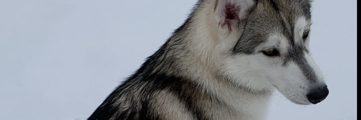 GarrettMayfiel2's profile banner image