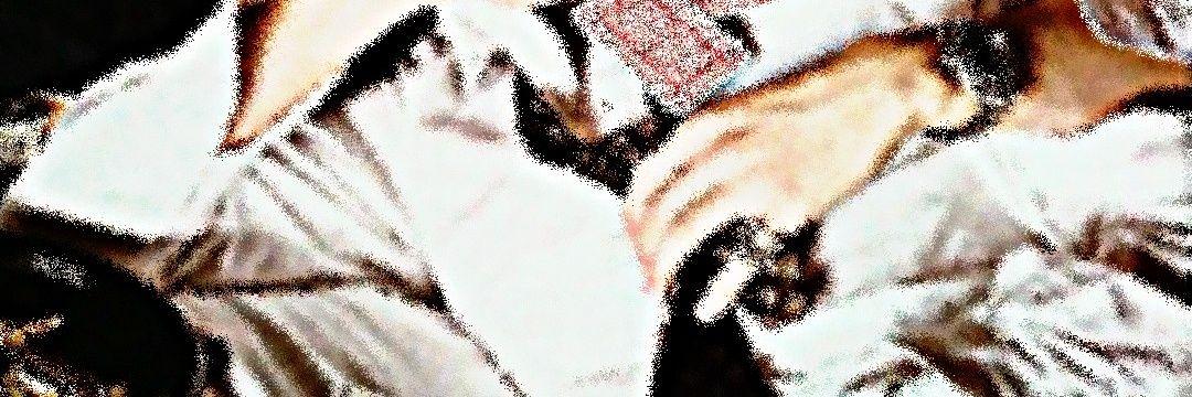 Kf_15kt's profile banner image