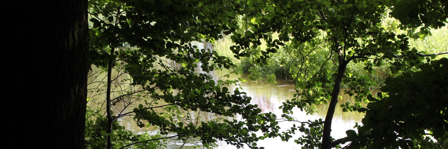 Rae Jean Johnson banner