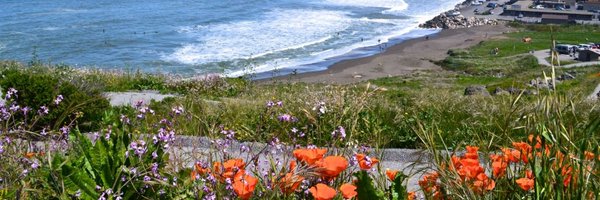 Englishzest Profile Banner