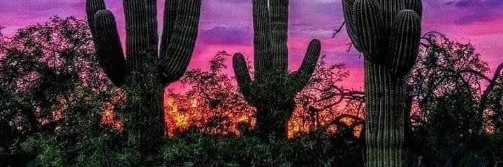 AZRealtorGuy's profile banner image
