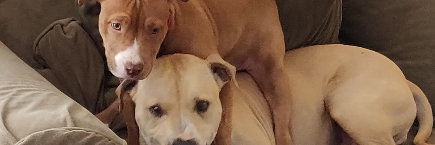 wyatthaze's profile banner image