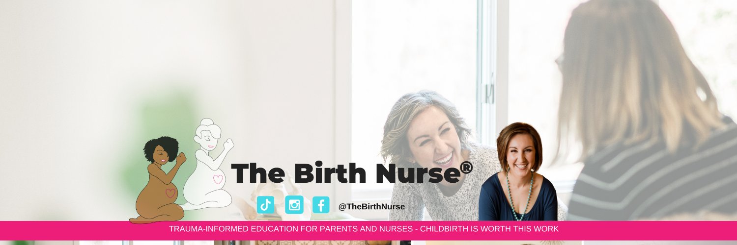 The Birth Nurse banner