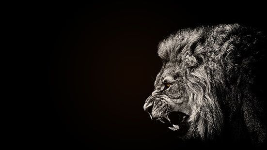 __9_rh's profile banner image
