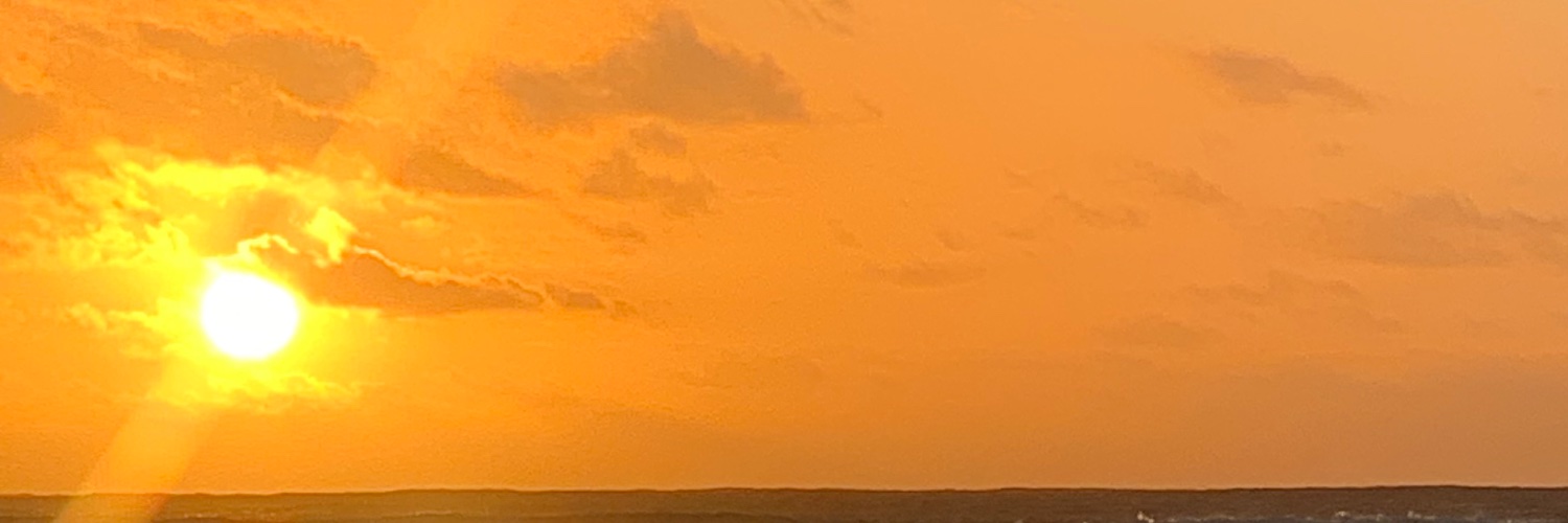 Dogskeepmesane banner