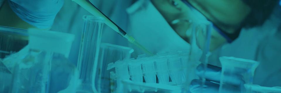 polyneuron's profile banner image