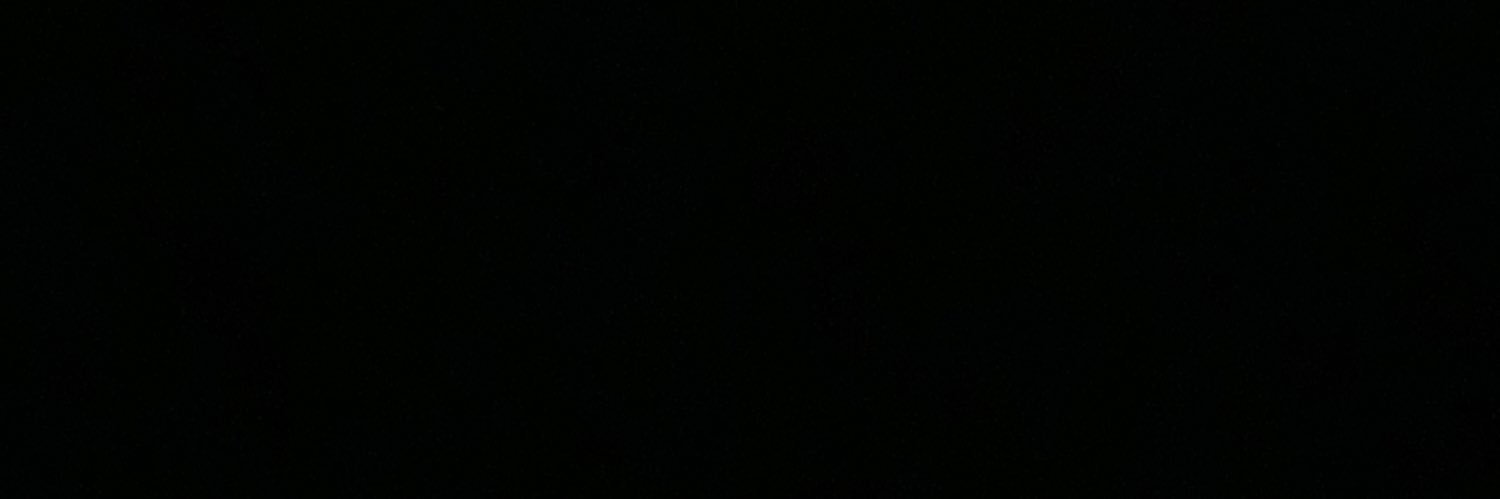 leodalves's profile banner image