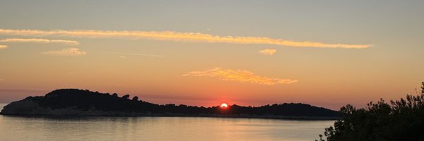 haz_walsh Profile Banner