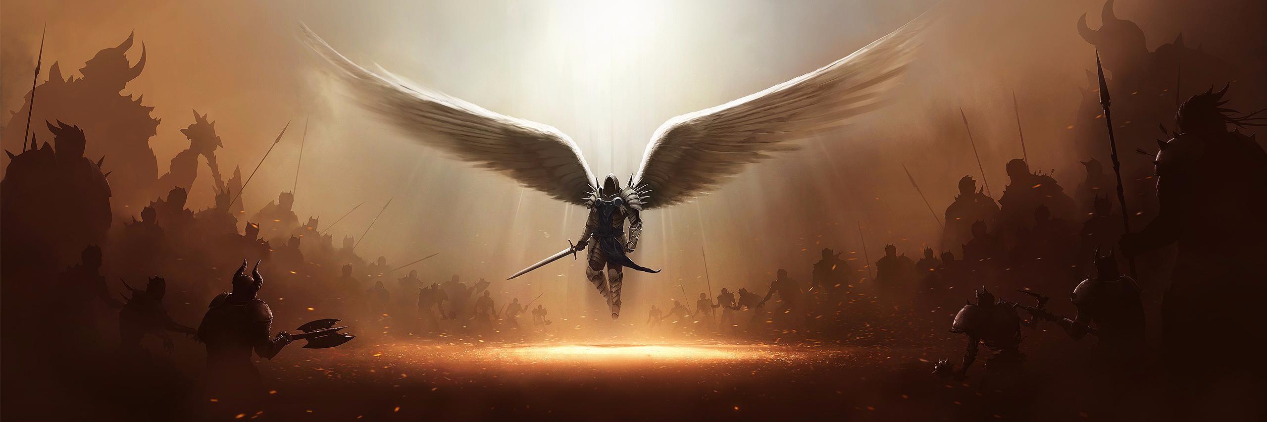 Vippen banner