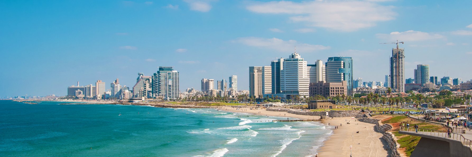 Alexander Ribin banner