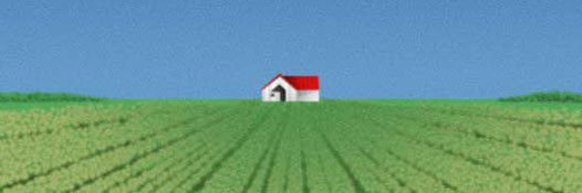 carterwilch's profile banner image