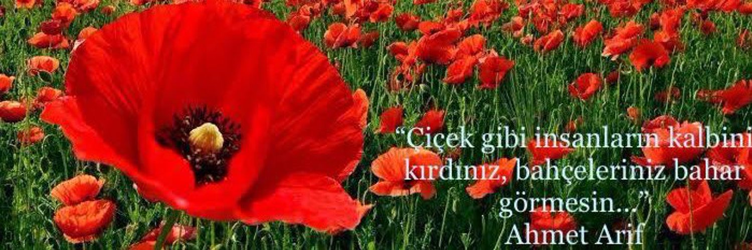 isaeryilmaz's profile banner image