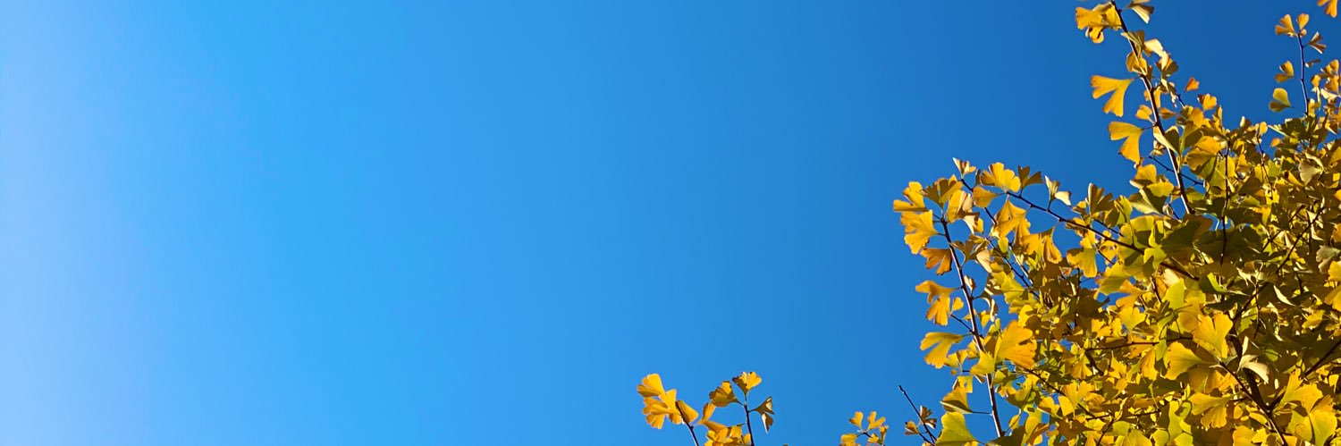 far_rivi321's profile banner image