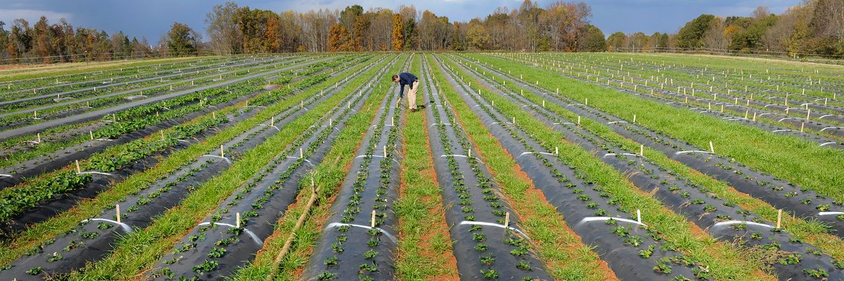 NCARS at NC State banner