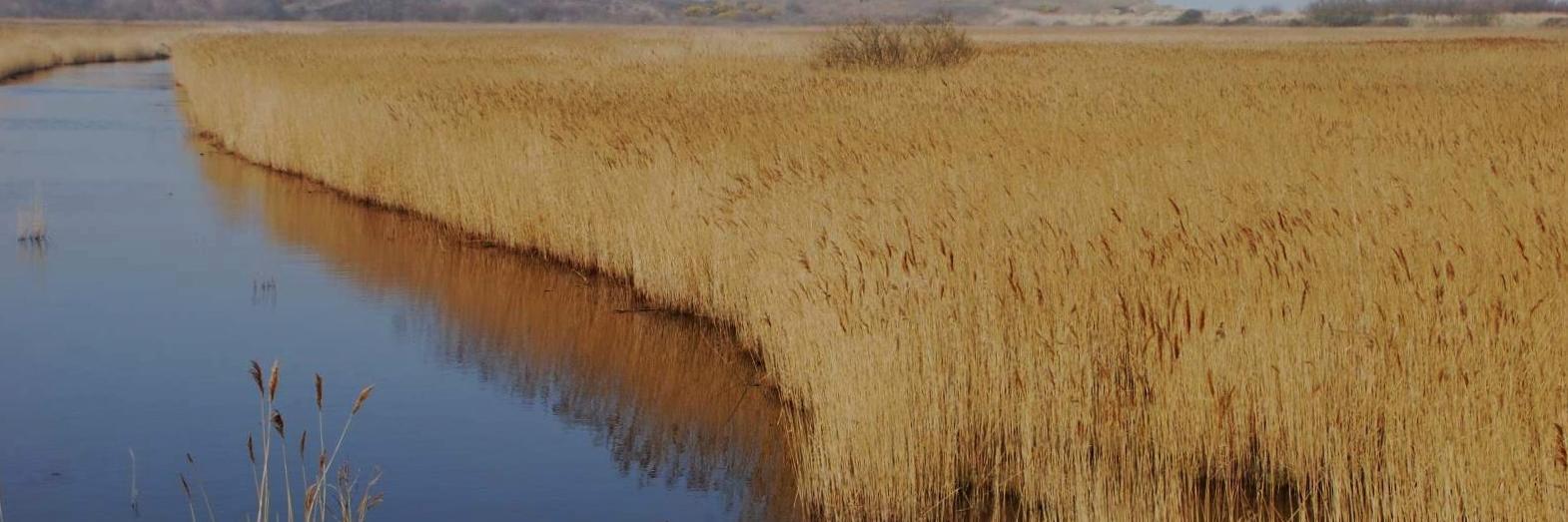 Suffolk_Places's profile banner image