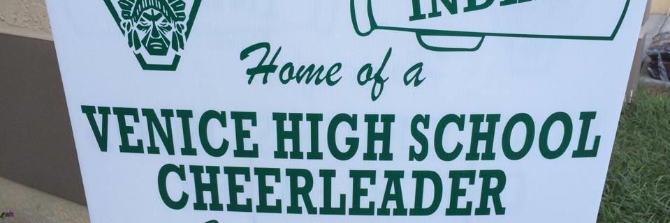VHSCHEER banner