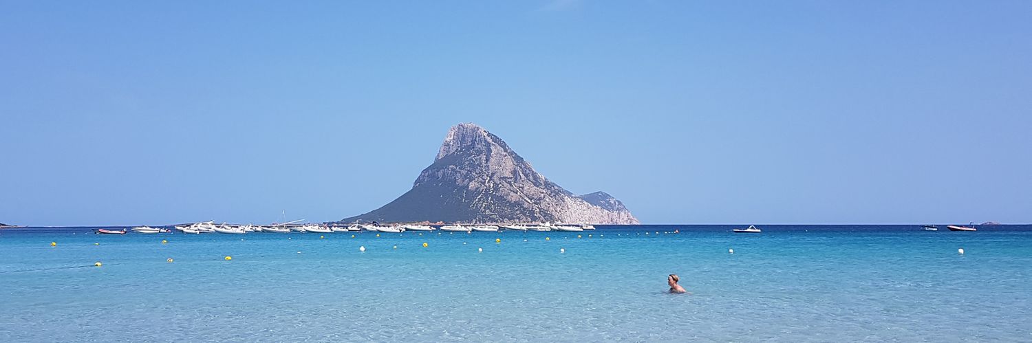 Cecilia Valbonesi banner