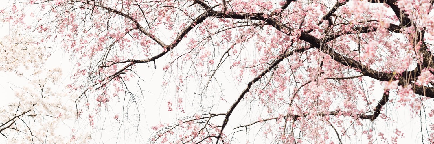 imyourlix's profile banner image