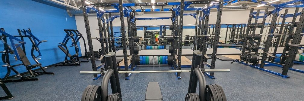 Low grade dog food 🏋️🐭. . . 🐰🕳️ banner