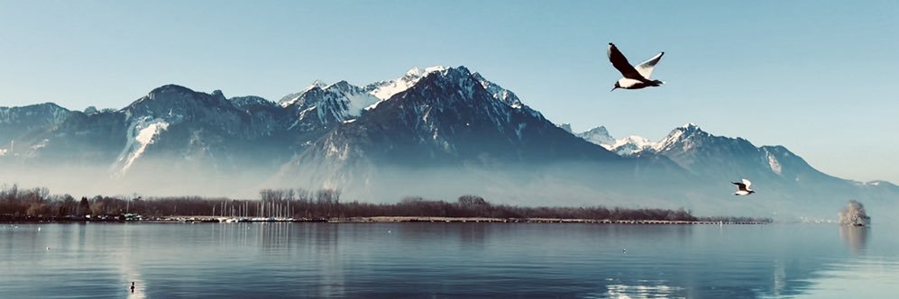 aczopek's profile banner image