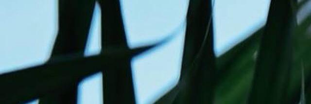 holmarinn's profile banner image