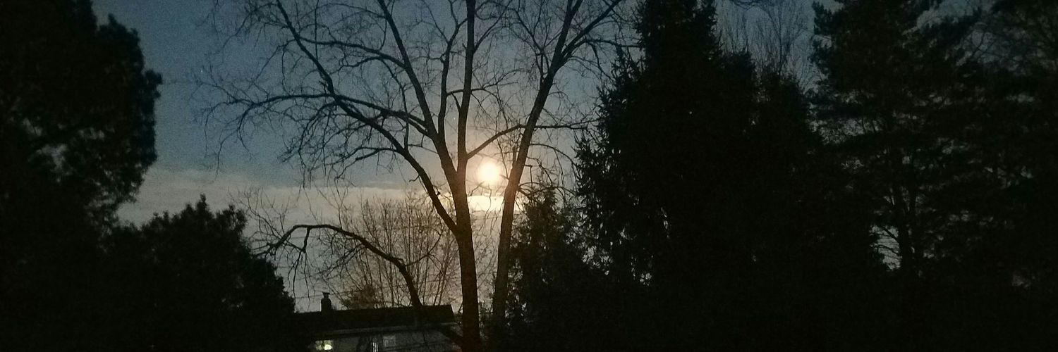 ru2jaded's profile banner image