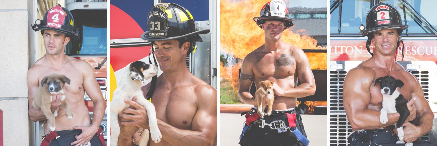 Fire Rescue Dogs banner