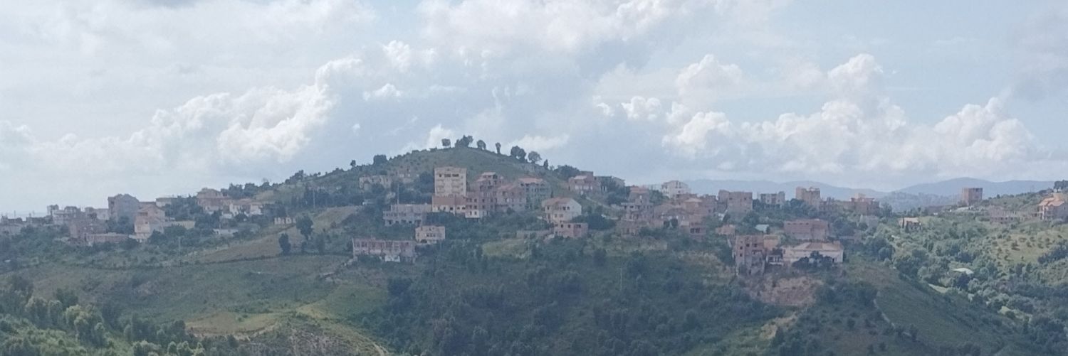 Sofiane Hadjali banner