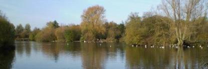 Singleton Lake banner