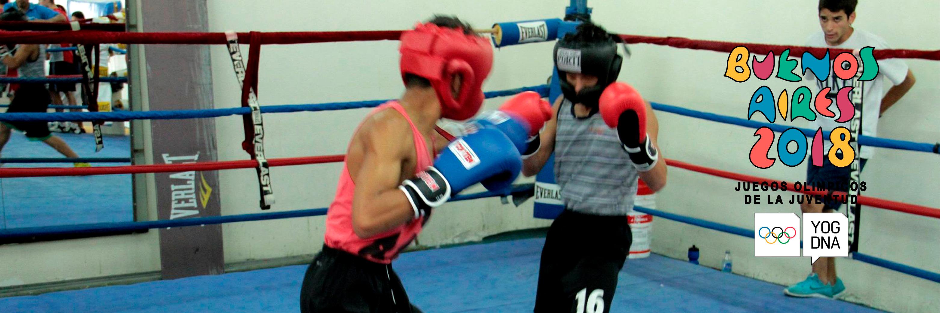 boxeo2018's profile banner image