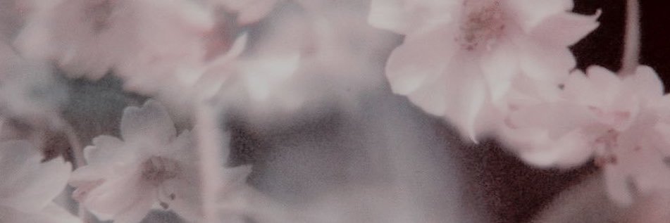 lm01le's profile banner image