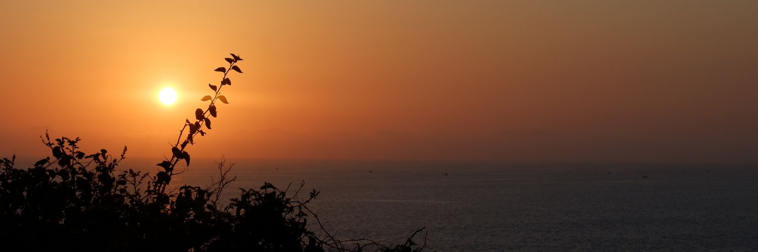 just_cuit's profile banner image