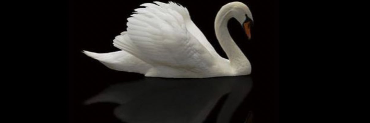 yerginsevval's profile banner image