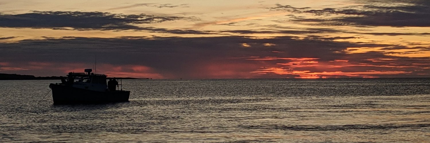 Samantha Watson banner