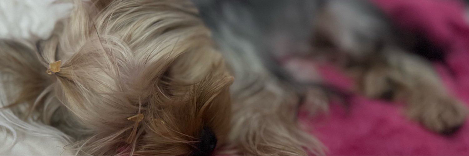 martinaatevez's profile banner image