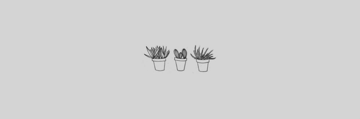 fallinallinash's profile banner image