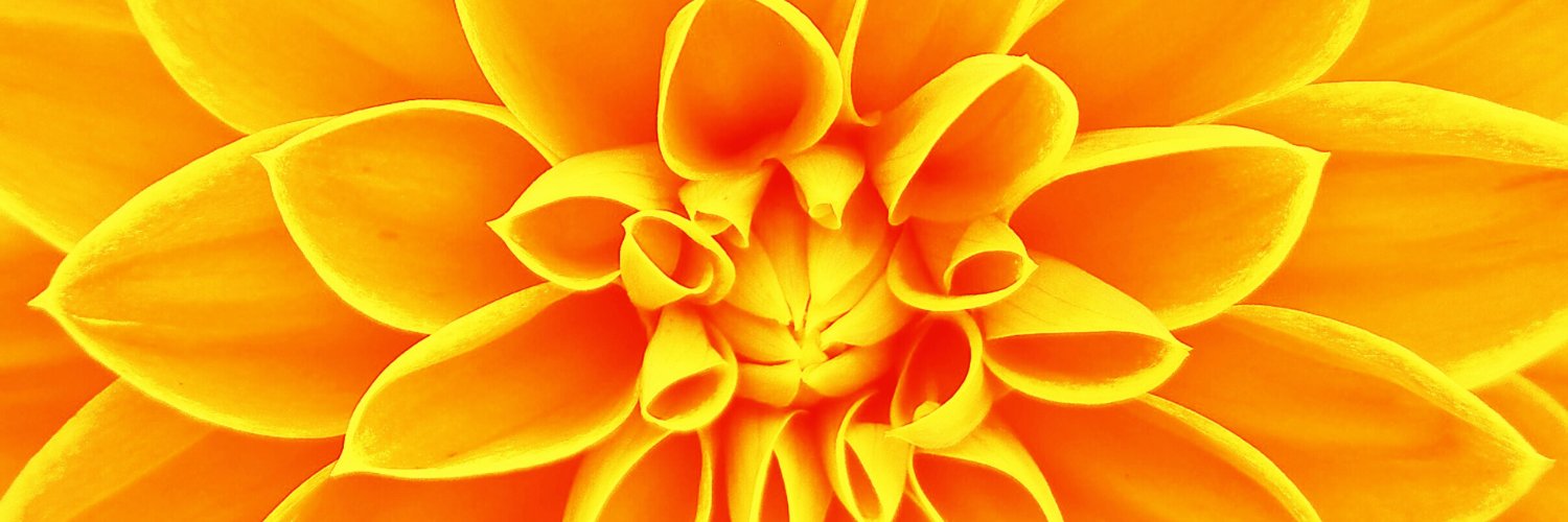 TamKatzin's profile banner image