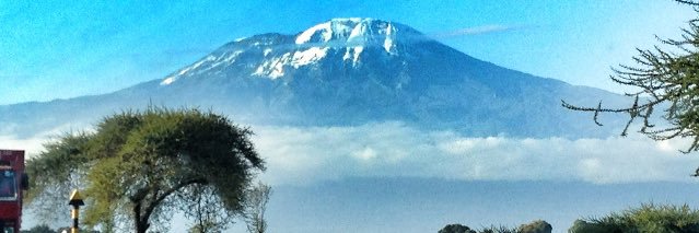 Marianne Skaiaa banner