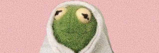 mapleslug's profile banner image