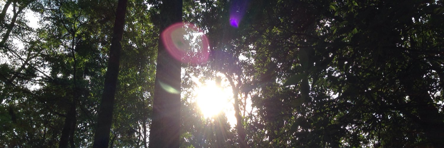 mamicoworld's profile banner image