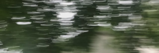 eggheadstickleg's profile banner image