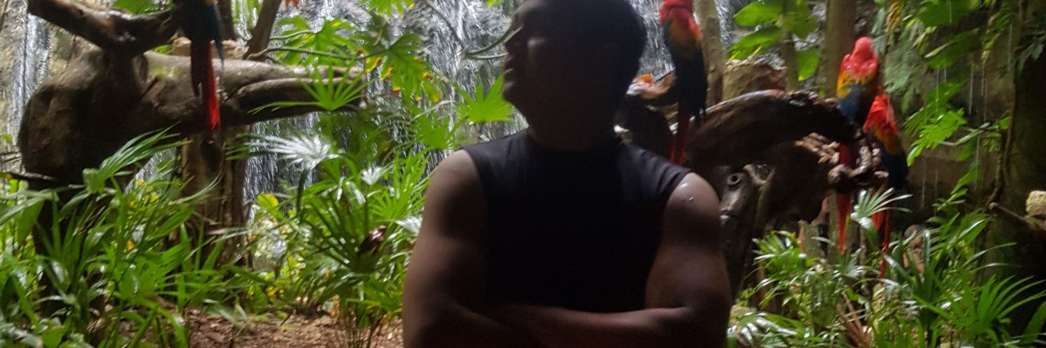vargascr17's profile banner image