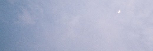 rosecoloredcait's profile banner image
