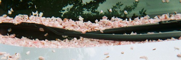 HerrMer Profile Banner