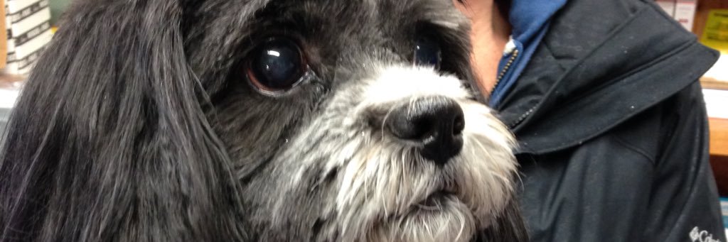 abbystokes97's profile banner image