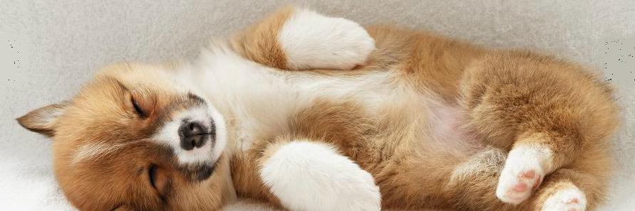 ghostforfun's profile banner image