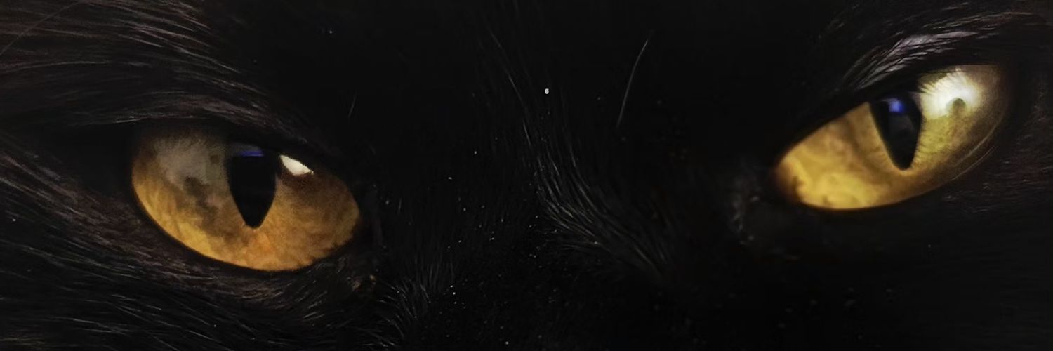 mfrknn1's profile banner image